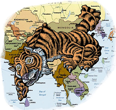 (Tiger in shape of India and China, on map)